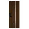 Cửa thép vân gỗ Galaxy GLX-STEEL 507 VG15