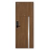 Cửa thép vân gỗ Galaxy GLX-STEEL 501a 1 TINSWINDOW Cửa thép vân gỗ 501 VG12