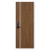 Cửa thép vân gỗ 505 vg12