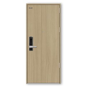 Cửa thép laminate vân gỗ Hisung HS-STEEL-938