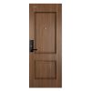 Cửa thép vân gỗ huỳnh GLX steel 125